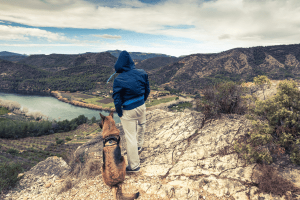 Best Dog Breeds for Travelling