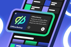 Spotify offline backup